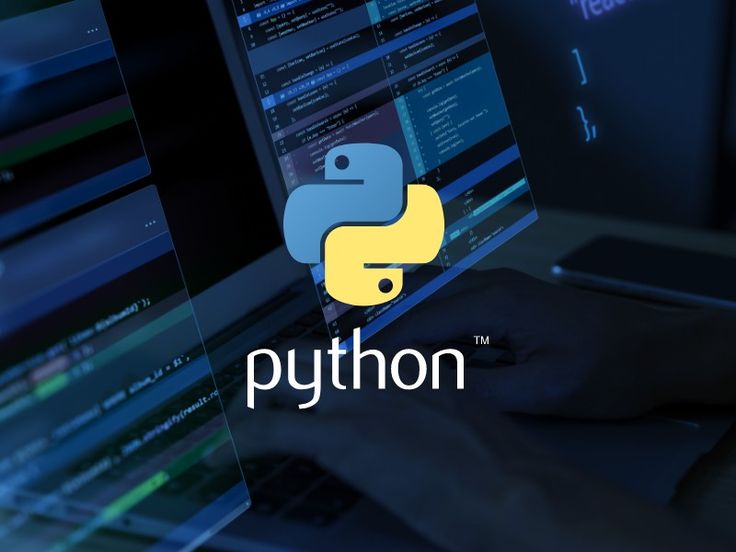 Python Developer (Ages 10-14)